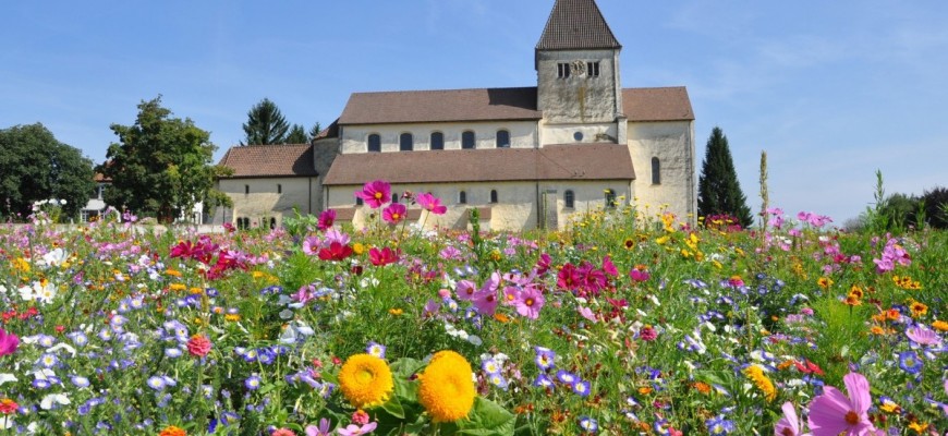 Kirche mit Blumenwiese